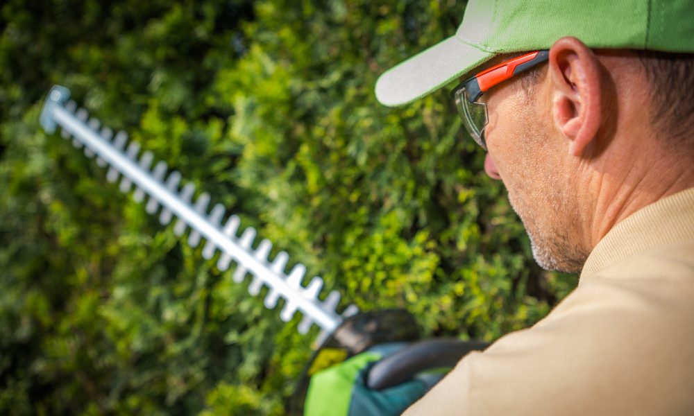 Caucasian Gardener with Hedge Trimmers