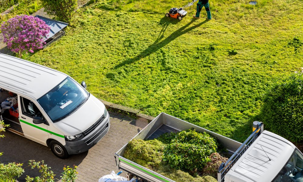 Municipal professional house landscape lawn gardening mowing maintenace and service. City grass yard