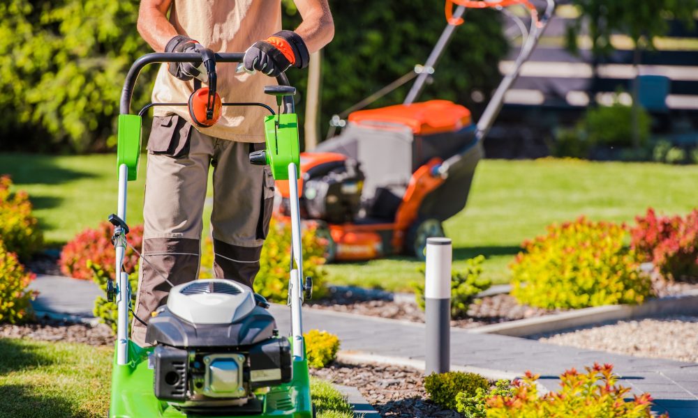 Professional Landscape Gardening Services